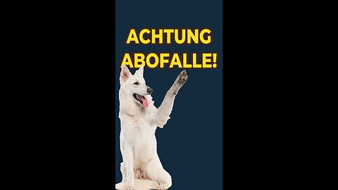 Hundebesitzer! Achtung vor der Abo-Falle!