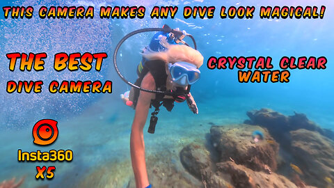 Insta360 X5 4K Test Dive – This Camera Makes Scuba Diving Look MAGICAL! 