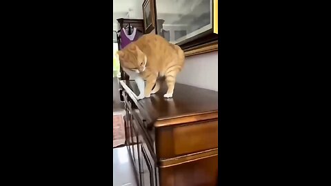 You could watch this forever!