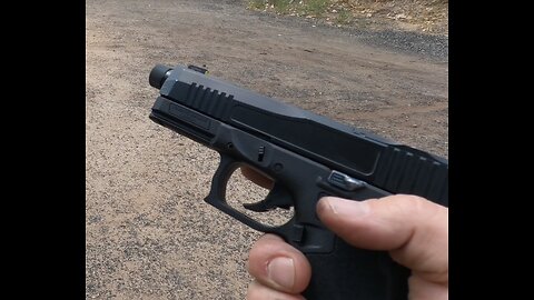 Palmetto State Armory Dagger Compact Iron Sights