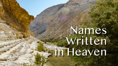 Names Written in Heaven - Luke 10:1-12, 16-20 - 7th Sunday after Pentecost, July 27, 2025