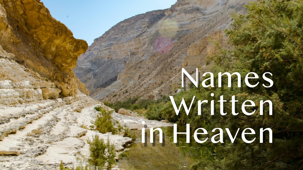Names Written in Heaven - Luke 10:1-12, 16-20 - 7th Sunday after Pentecost, July 27, 2025