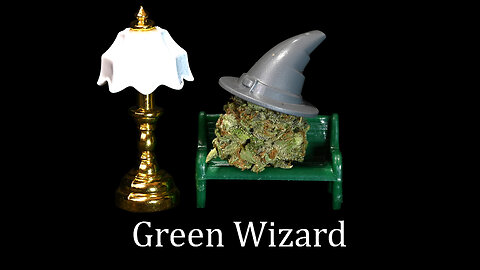 Terpcicle and Giligadi music