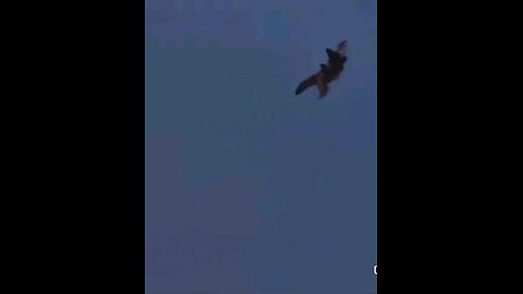 Pakistan Shoots Down Indian Fighter Jets | Shocking Aerial Combat Footage 🚨 #Pakistan #India