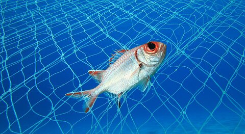 MGTOW Talks: The Delusion of Human Autonomy