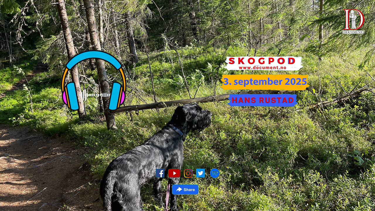 Skogpod 3. september 2025