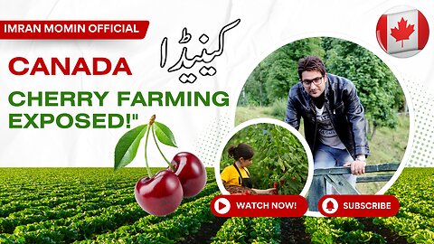 : 🍒 Cherry Farm Life in Saskatchewan, Canada – Fresh Pick & Taste Tour! 🇨🇦