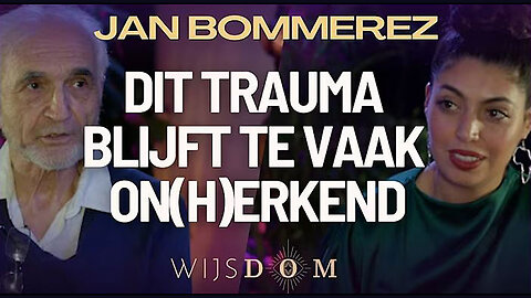 Veel Moeten? Geen Flow? Ontwikkelingstrauma als Oorzaak! Jan Bommerez | WijsDom