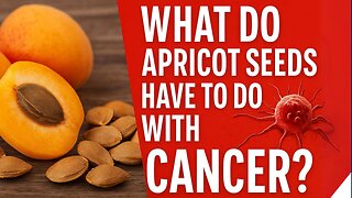 What Do Apricot Seeds Have to Do with Cancer?
