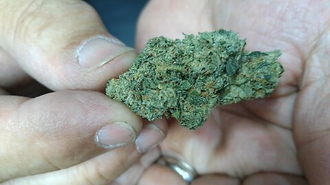 Wonderbread from California Gold Farms