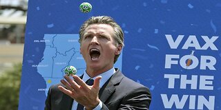 Gavin Newsom's Imbecilic Response to Bed Bath and Beyond News Prompts Smackdown