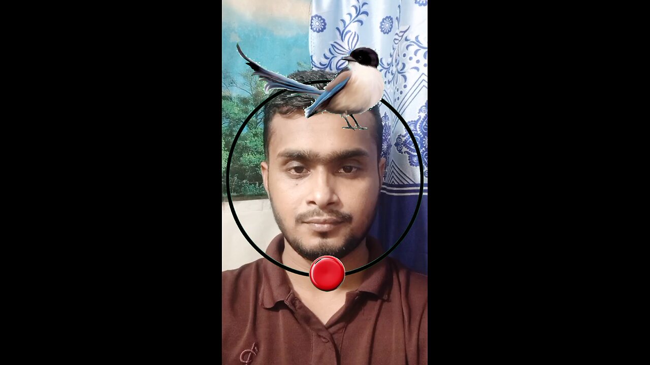 লম্বা লেজ পাখিটি উড়িয়ে দেখান ৪৫ #reels #puzzle #viral #tending