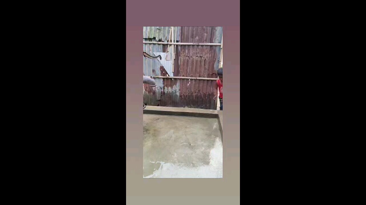 क्या दिमाग है