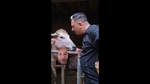 حب ابدى ينتهى بعد ساعات
