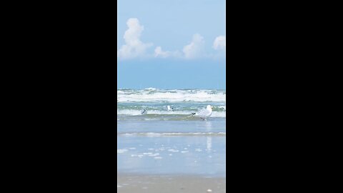 sea, beach, white sand