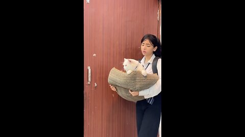 Simran ko Mili cat 🐈😺( part 1 ) #School #Schoollife #Shorts #cat #sad Simran makhija