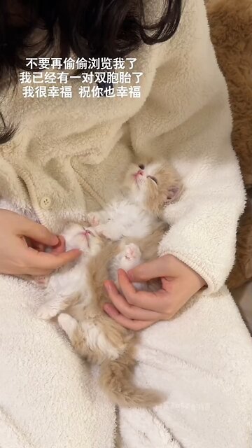 How my kittens loves to sleep..❤️🥰 #kitty #cat