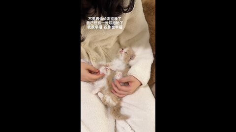 How my kittens loves to sleep..❤️🥰 #kitty #cat
