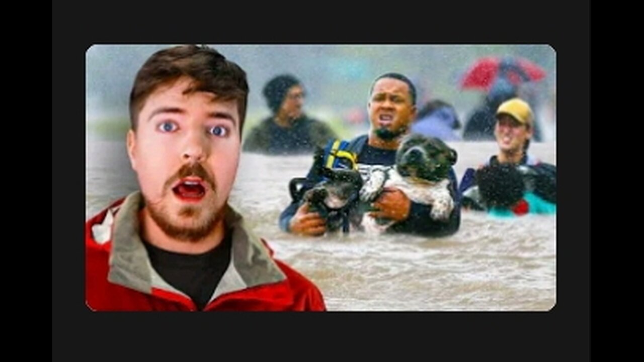 Helping Hurricane Survivors