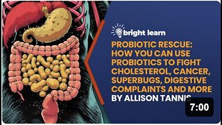 BrightLearn -Probiotic Rescue: How You Can Use Probiotics to Fight Cholesterol, Cancer, Superbugs, Digestive Complaints and More by Allison Tannis