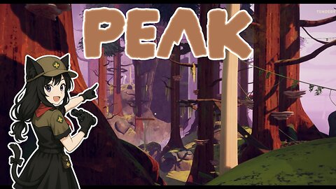 Livestream of Peak 11/14/2025