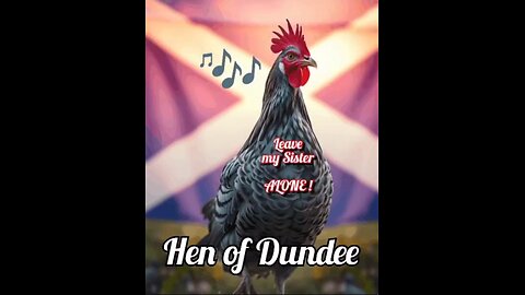 Hen of Dundee