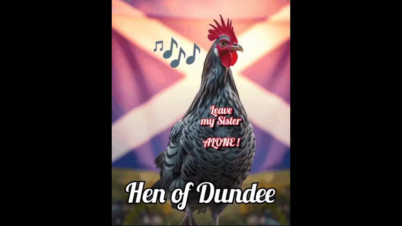 Hen of Dundee