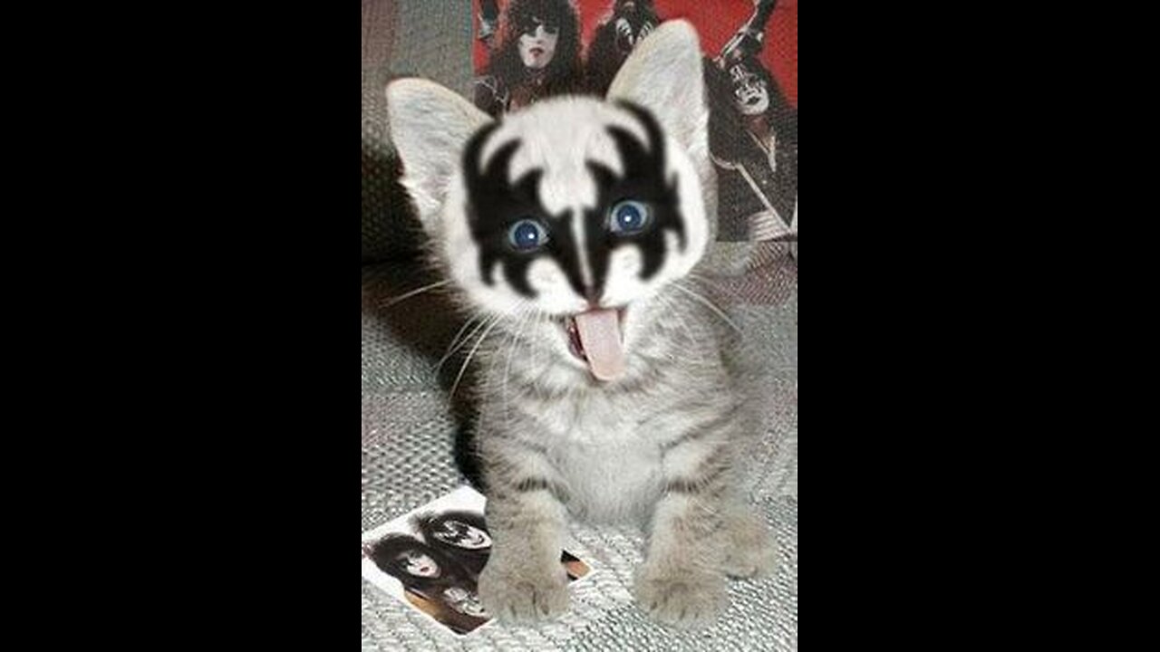 Rock out