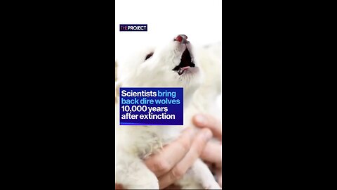 Scientists bring back dire wolves 10,000 years after extinction