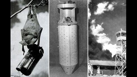 Bat Bombs: America's Wild WWII Weapon That Never Flew