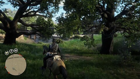 Red Dead Redemption 2 - somebody’s “wife”
