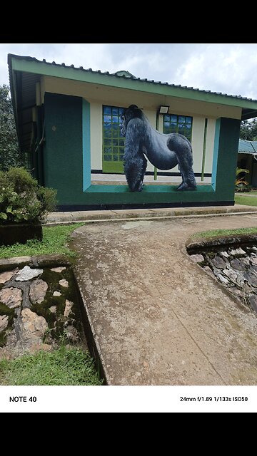 𝙴𝚕𝚎𝚐𝚊𝚗𝚝 𝙺𝚒𝚜𝚘𝚛𝚘, 𝚄𝚐𝚊𝚗𝚍𝚊