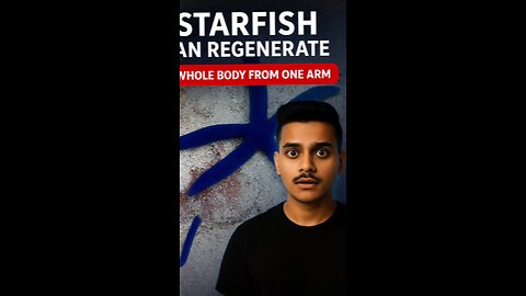 This Sea Animal Can Regrow Its Own Body!