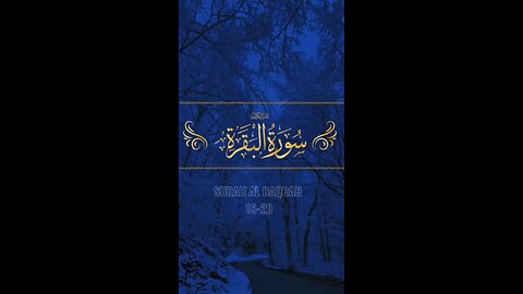 Surah Al-Baqarah 16-20 ✨🌙| quran recitation with translation | heart touching