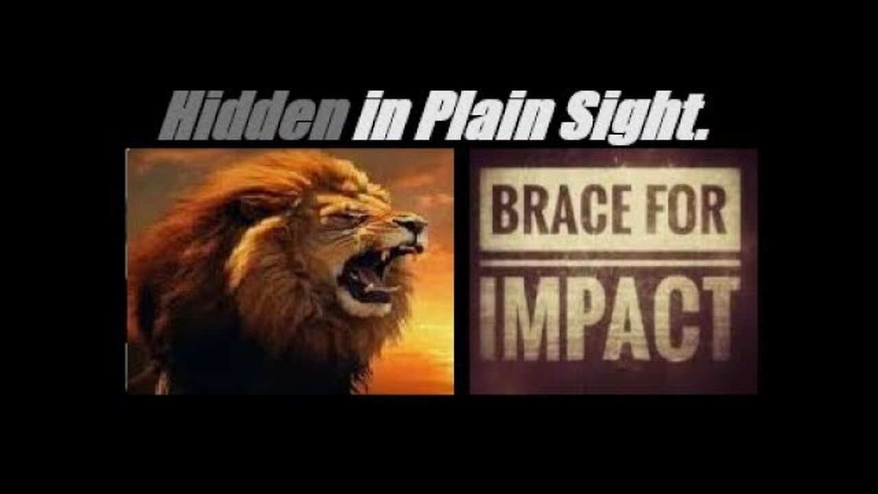 BRACE FOR IMPACT! What IS Happening, What WILL Happen, (AND WHAT ACTION TO TAKE NOW). Mannarino