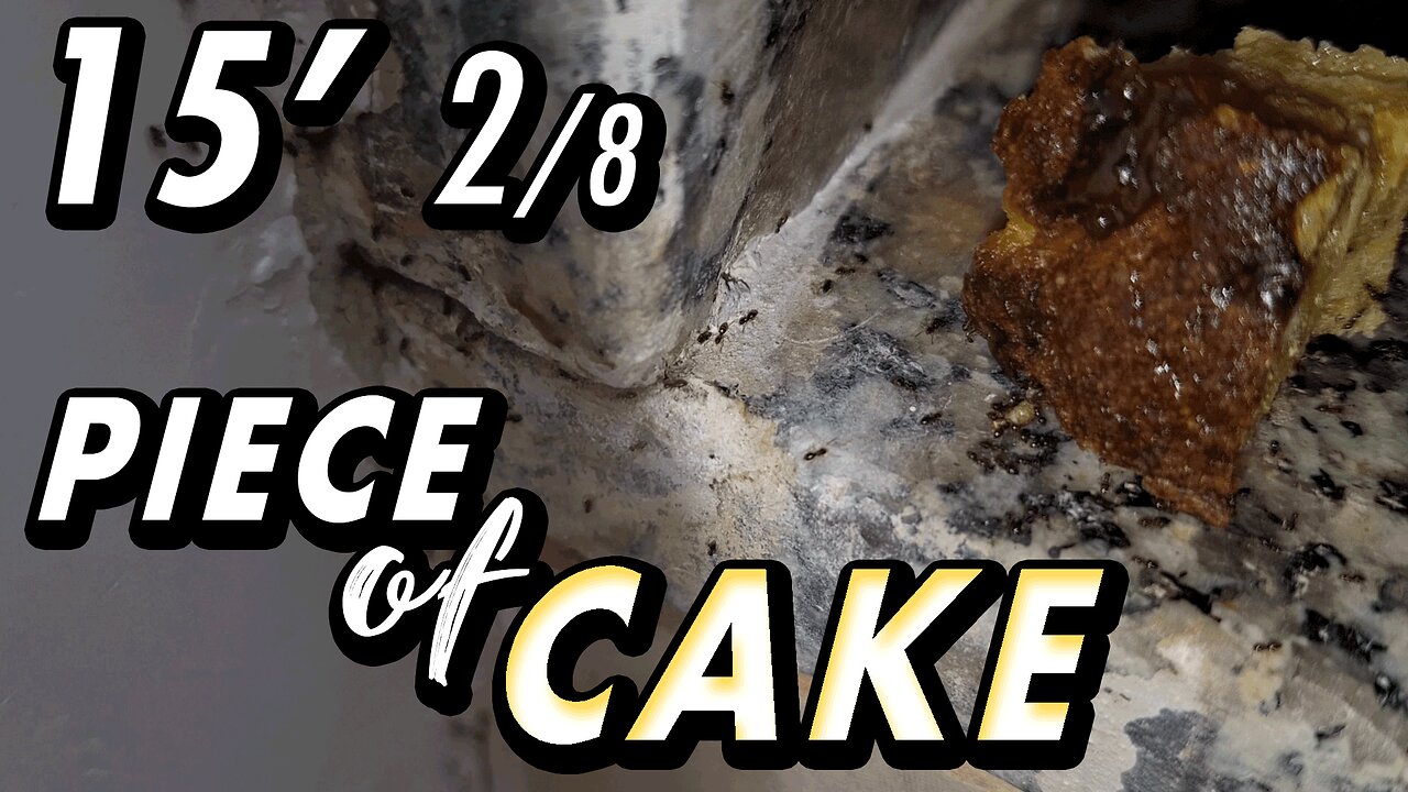 ASMR | You forgot some food on the way? Chill. The soldiers have it covered - 15' 2/8