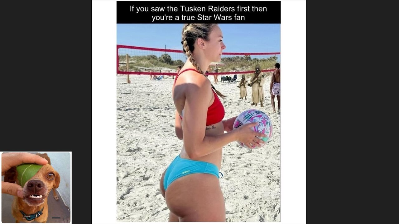 Memes That Will 99.0539% Make You Laugh. (e763)