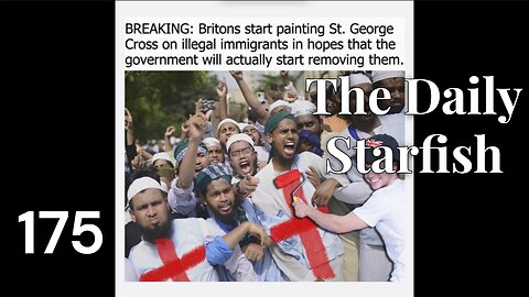 The Daily Starfish #175 #2025 #uk #news #memes