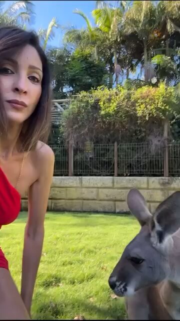 Kangaroo diaries only in Australia 🇦🇺
