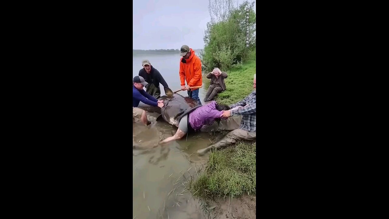 She almost got ate| Is it true?