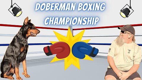Doberman Boxing Championship: Another Round of Paw Power! 🥊🐾