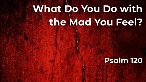 May 18, 2025 // What Do You Do with the Made You Feel // Sunday Morning Worship
