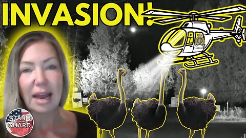 WATCH Black Helicopters Harassing Canadian farmers and their livestock a night ago
