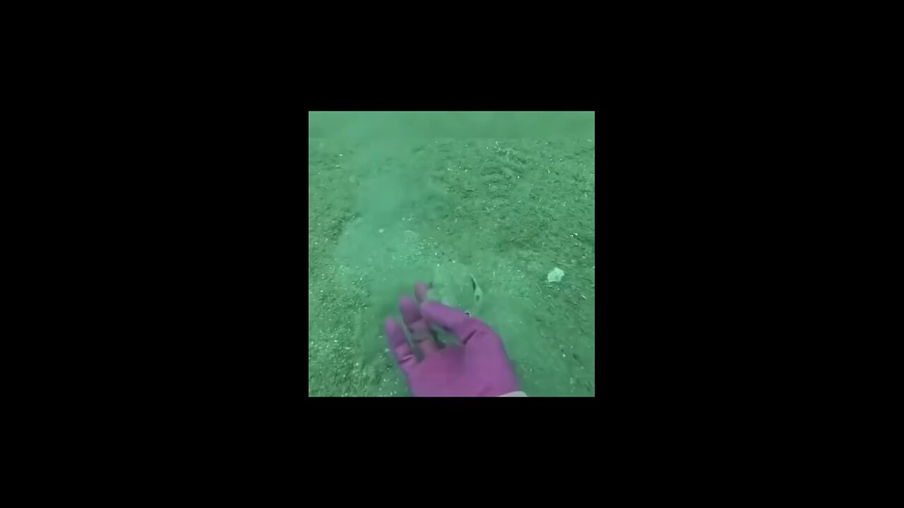 Love and Care Surveyed 🥰