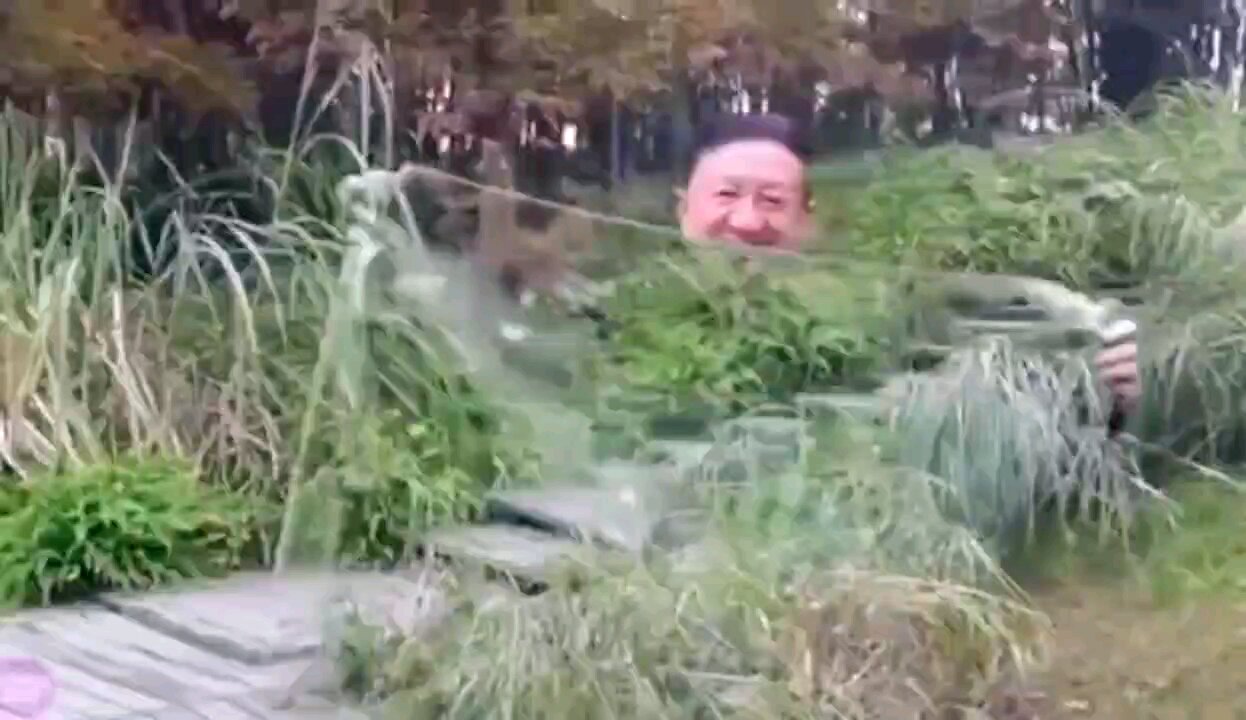 A Real, Working Invisibility Cloak