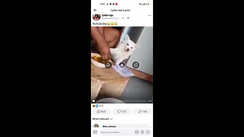 you must eat dog