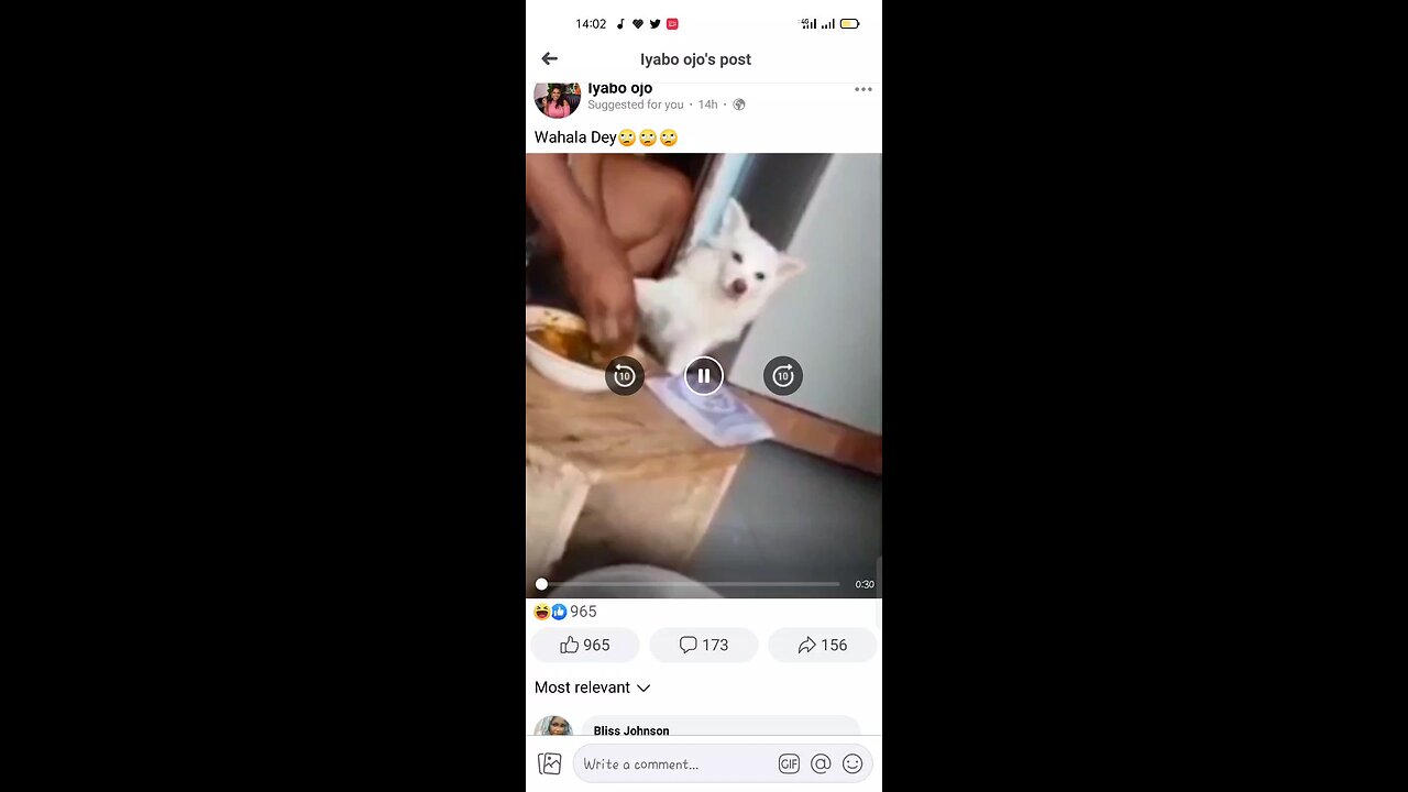 you must eat dog