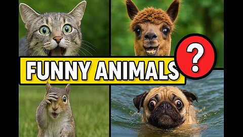 “The Funniest Animal Reaction You’ll See All Week!”