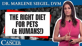 How the Right Diet Leads to a Better Life For Pets (& Humans!)