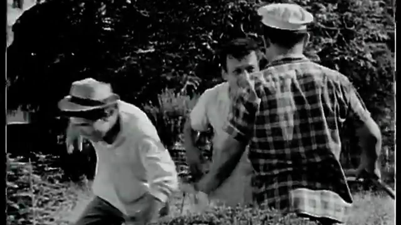 Fıstık Gibi Maşallah